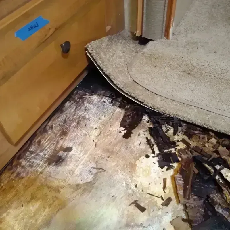 Wood Floor Water Damage in Bakersville, NC